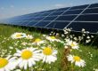  Izgradnja najvećeg solarnog parka na jugu Srbije