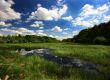 Srbija predala nominaciju za prekogranični UNESCO rezervat biosfere “Mura-Drava-Dunav”